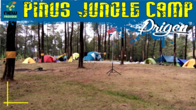 Pinus Jungle Camp Prigen